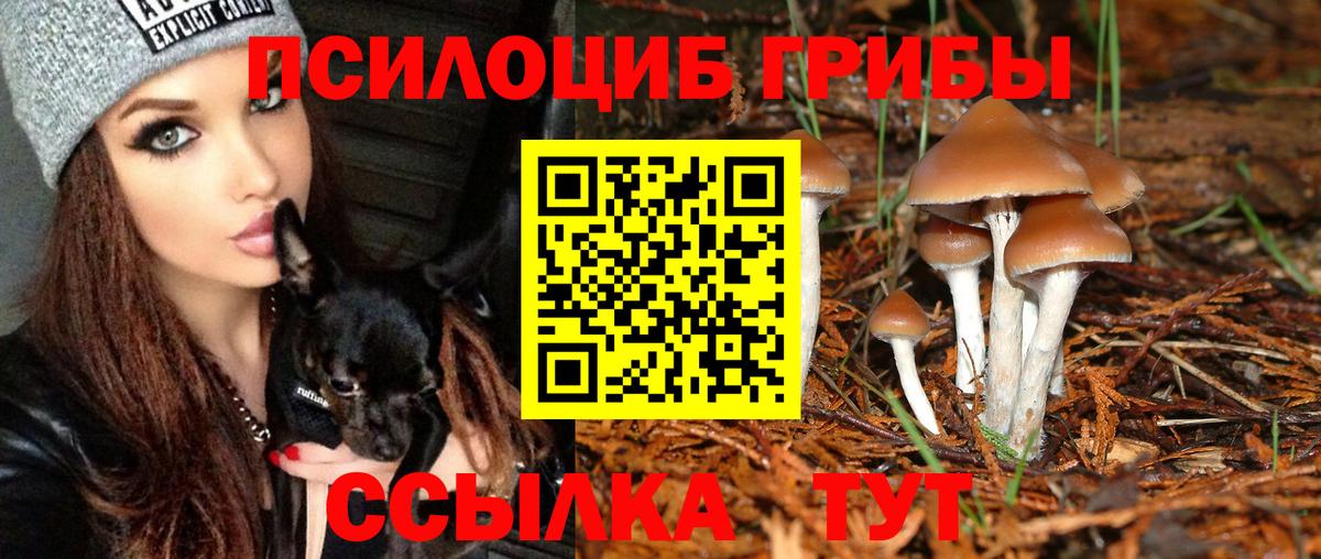 Псилоцибиновые грибы Cubensis  Вход с VPN  Люберцы  Галлюциногенные грибы мицелий 